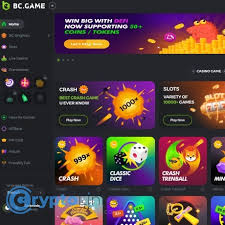 Comprehensive Support BC.Game Nigeria Your Guide to Success